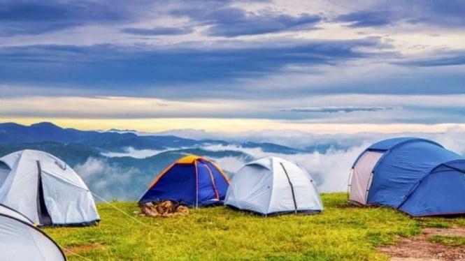 Camping Aman dan Nyaman: 6 Tips Penting yang Wajib Kamu Tahu Sebelum Berangkat!