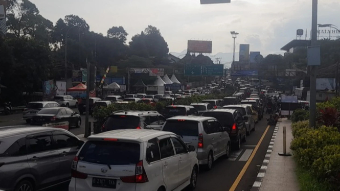 Libur Panjang Isra Miraj & Imlek di Puncak: Ganjil Genap & One Way Diberlakukan!