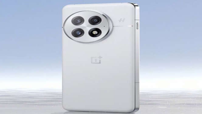 oneplus 13