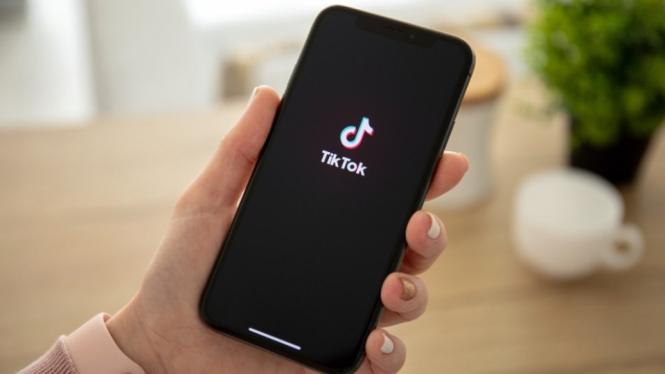 Cara Menyembunyikan Video Disukai di TikTok tanpa Ribet, Coba Sekarang!