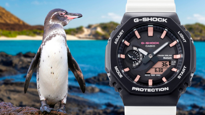 G-Shock x Charles Darwin Foundation