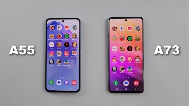Samsung Galaxy A55 5G vs A73 5G