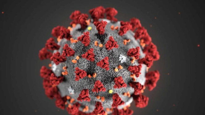 Virus HKU5-CoV-2 Baru Mirip Covid-19 Ditemukan di China, Berpotensi Infeksi Manusia