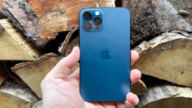 Harga iPhone 12 Bekas Turun Drastis! Cek Daftar Lengkapnya di Sini Sebelum Kehabisan!