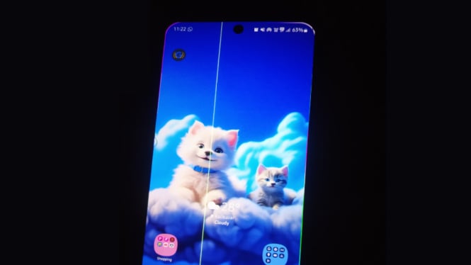 Ponsel Samsung yang Menghadapi Masalah Green Line