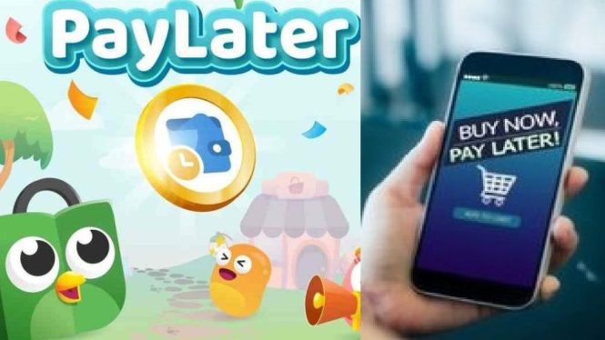 Daftar Paylater Bunga Rendah 2025, Aman dan Terpercaya untuk Cicilan Mudah
