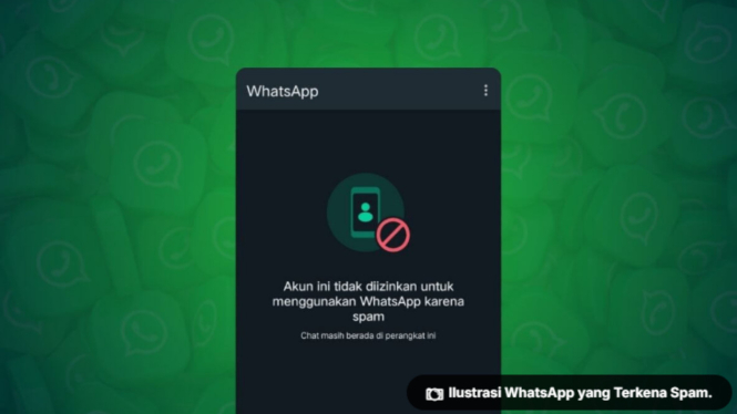 4 Langkah Ampuh Atasi WhatsApp Kena Spam, Jangan Sampai Privasi Anda Terancam!