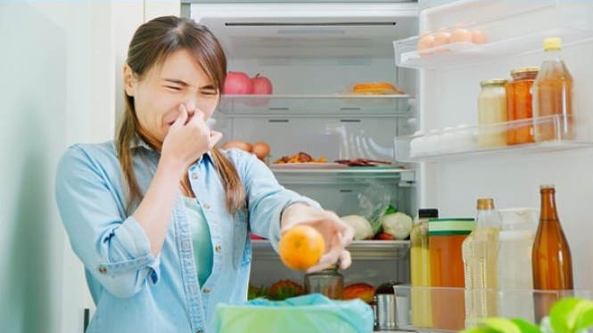 Bye-Bye Bau Kulkas! 5 Tips Ampuh Bikin Kulkas Segar dan Bebas Bau Tak Sedap