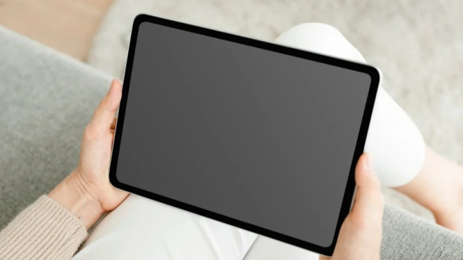 Kenali Modus Penipuan Elektronik di TikTok agar Tidak Menjadi Korban Selanjutnya