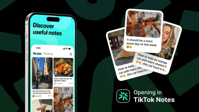 TikTok Notes Bangkrut! Aplikasi Pesaing Instagram Akan Dihapus Mei 2025