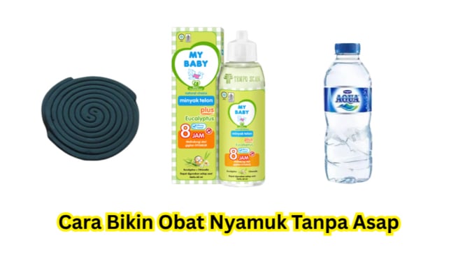 Cara Bikin Obat Nyamuk Tanpa Asap di Rumah dengan Mudah