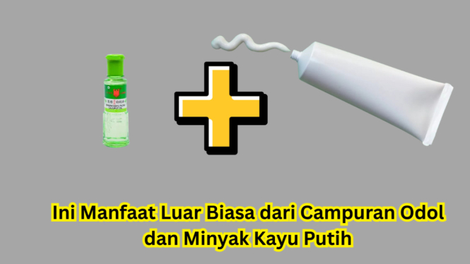 Ini Manfaat Luar Biasa dari Campuran Odol dan Minyak Kayu Putih