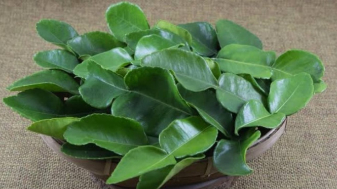 Tips Mudah Membuat Pengharum Ruangan dari daun Jeruk dan Pewangi Pakaian!