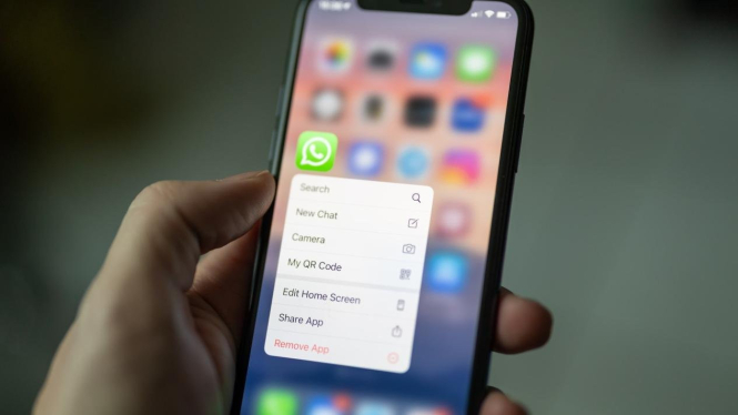 Kirim Pesan WhatsApp