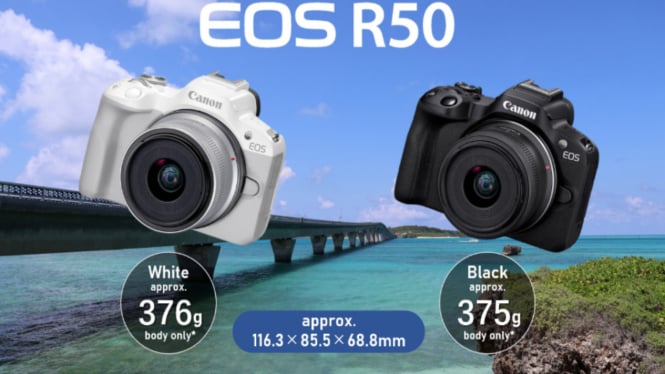 Canon EOS R50: Kamera Mirrorless Terbaik untuk Pemula dengan Harga Terjangkau!
