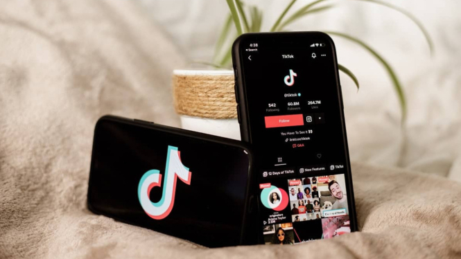 Cara Dapat Uang dari TikTok Go untuk Kreator Indonesia