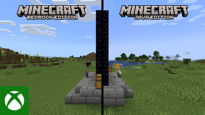 Minecraft Java vs Bedrock
