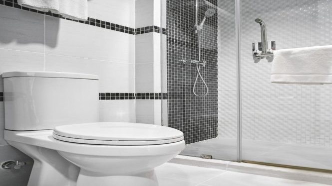 Toilet yang Sering Penuh dan Mampet