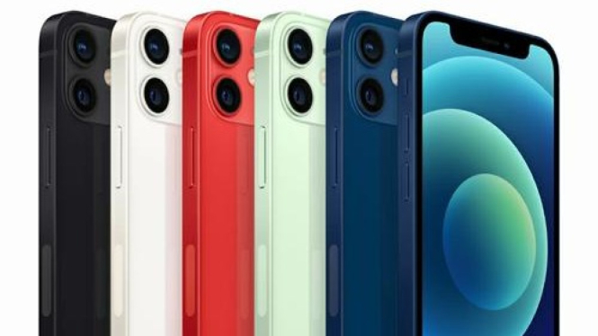 Ingin Beli iPhone Murah? Cek Daftar Harga iPhone XR, iPhone 11, iPhone 12, dan SE 3 Juni 2025