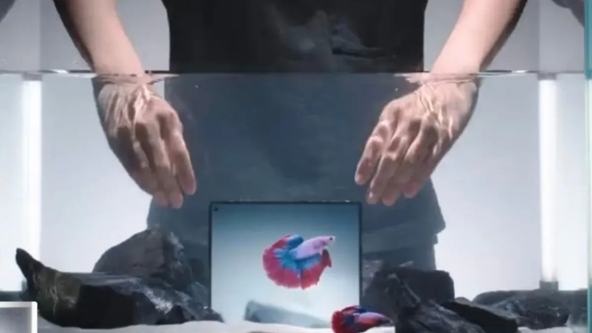 Vivo X Fold 5