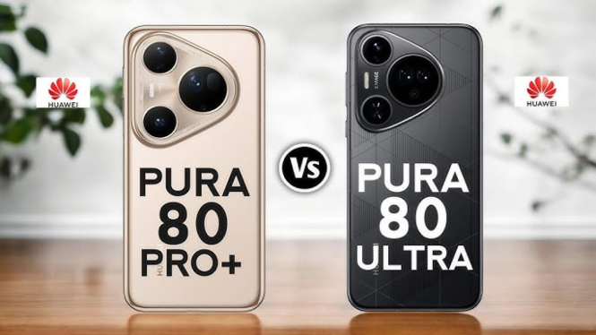 Huawei Pura 80 Pro Plus vs Huawei Pura 80 Ultra
