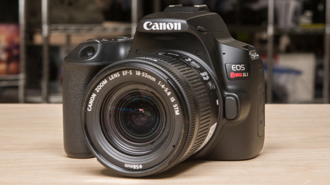 Canon EOS 250D (Rebel SL3) – Ringkas, Serbaguna, dan Tajam