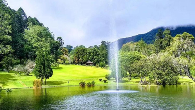 Kebun Raya Cibodas – Puncak