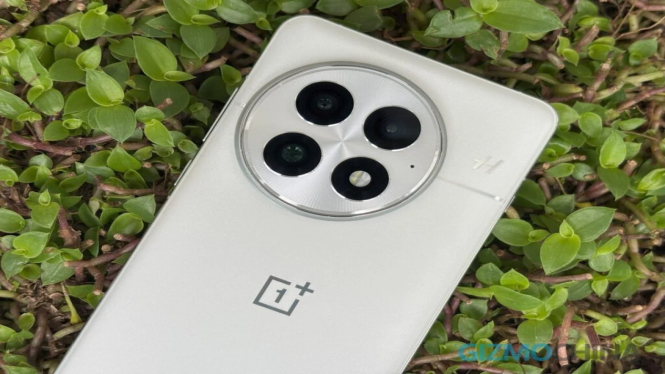 OnePlus 13 Dapatkan Update ColorOS Baru