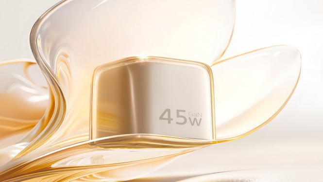 Baseus PicoGo AN12: Charger Mini 45W