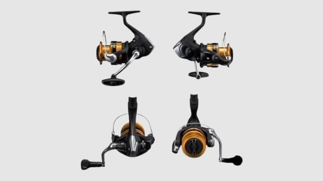 Reel Pancing Shimano