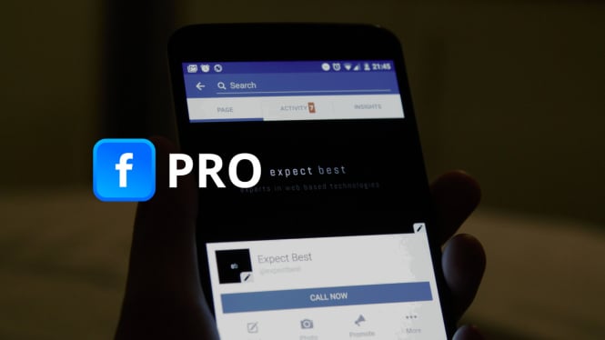 Panduan Lengkap Facebook Pro 2025
