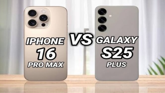 iPhone 16 Pro Max vs Galaxy S25 Plus
