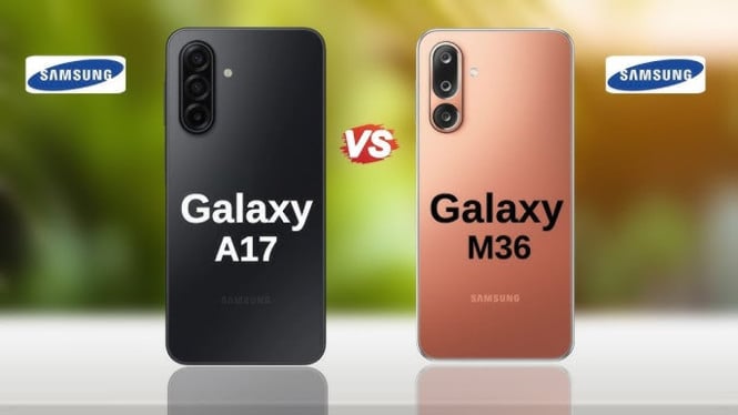 Samsung Galaxy A17 5G vs M36 5G