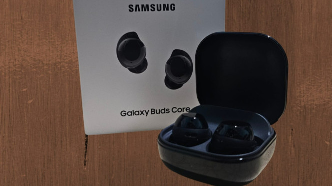 Galaxy Buds Core