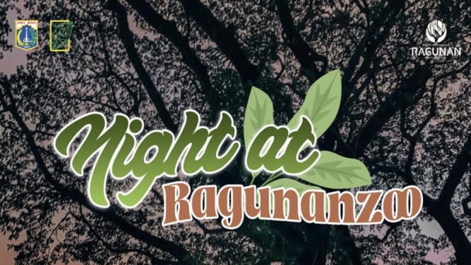 Wisata Malam Perdana di Ragunan Diserbu 2.900 Pengunjung