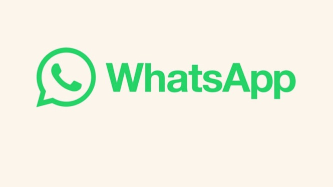 Signal vs WhatsApp: Mana Aplikasi Chat Terbaik untuk Privasi dan Keamanan?