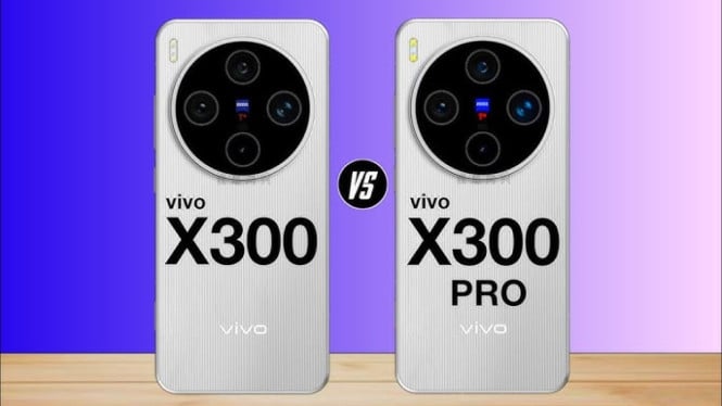 Vivo X300 vs Vivo X300 Pro