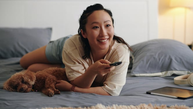 Platform Nonton Drakor Legal Terbaik