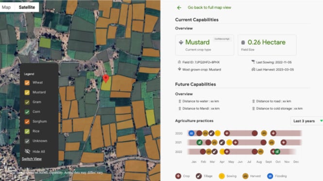 Google Hadirkan Solusi AI Canggih untuk Dorong Ketahanan Pangan di Indonesia!