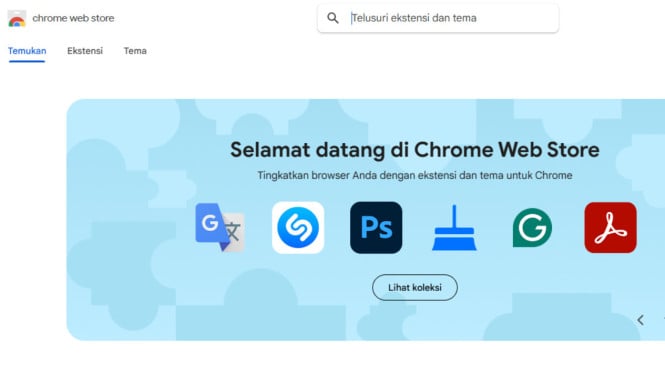Extension Google Chrome