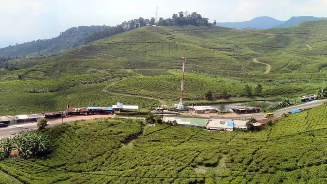 4 Rute Alternatif ke Puncak Tanpa Kena Ganjil Genap dan Macet