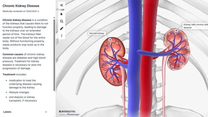 Guru Wajib Tahu! 7 Situs Interaktif yang Bikin Kelas Seru Pakai PID