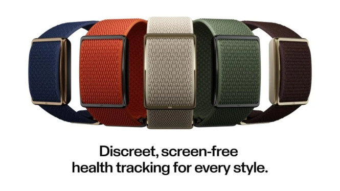 Polar Loop Resmi Meluncu