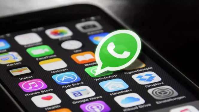 Larangan AI WhatsApp Dinilai Berat dan Picu Kekhawatiran Regulasi Eropa