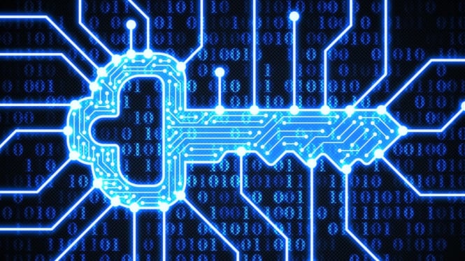 Jangan Pakai Ini! 20 Password Populer di Indonesia yang Paling Gampang Dibobol