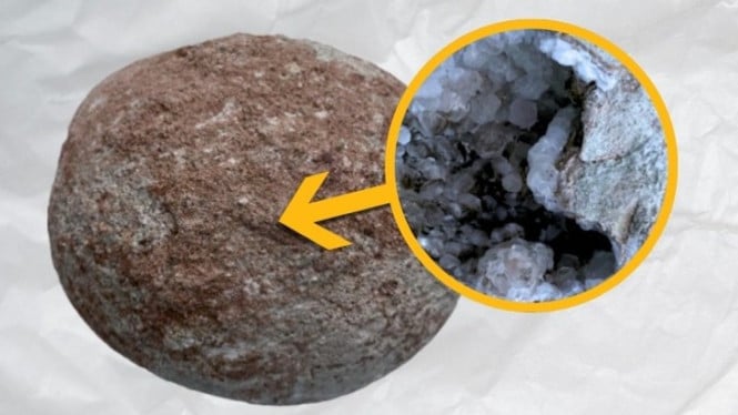 Bukan Embrio, Tapi Kristal! Ilmuwan Kaget Temukan Isi Telur Dinosaurus Ini