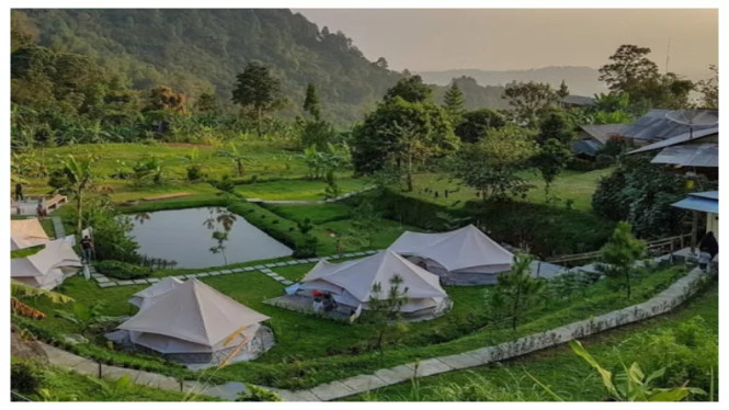 Forrester Glamping Co