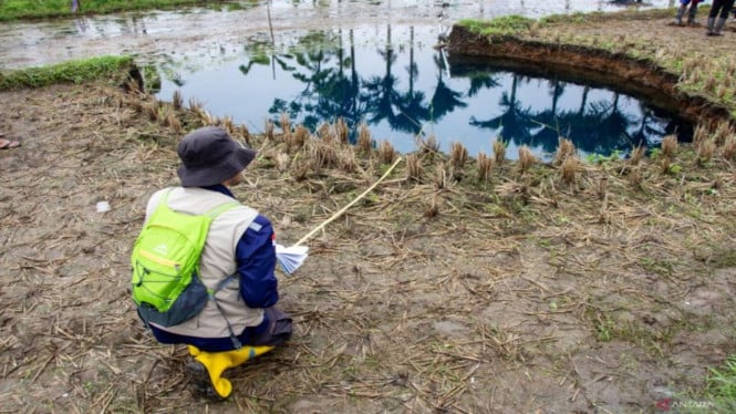 Waspada! BRIN Ungkap Wilayah Rawan Sinkhole Indonesia