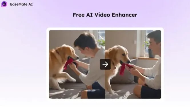 Bikin Video Jadi Tajam & HD Gratis dengan EaseMate AI!