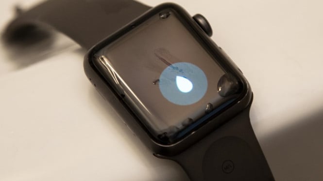 Smartwatch Kehujanan